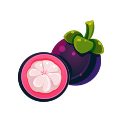 Mangosteen Flat Vector Sticker