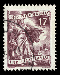 Stamp printed in Yugoslavia shows Livestock raising, inscriptions from series 