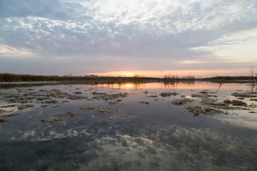 beautiful sunrise of the sun on the lake