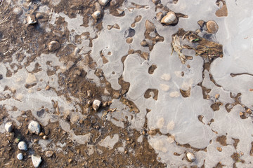 ice in a pool on the nature