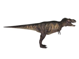 Fototapeta premium 3d render of a Dinosaur inside a white stage