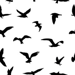 Seamless pattern of flying birds silhouettes on white background. Vector illustration
