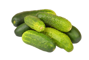 Green cucumber gherkin