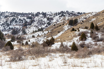 snow-capped mountains of the Tian Shan in winter