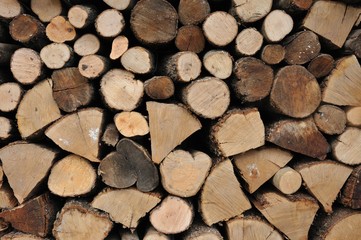 catasta di legno