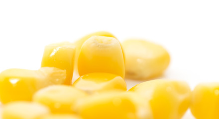 corn on a white background. close-up