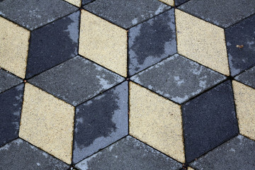 Stone Paved Garden Path