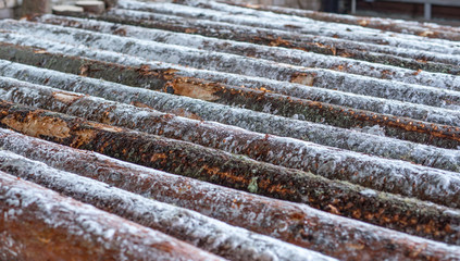 Image of snow-covered logs at sawmill