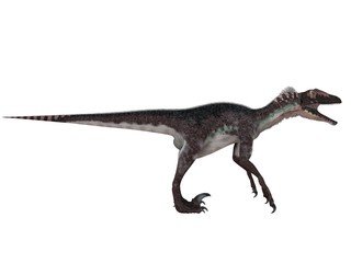3d render of a Dinosaur inside a white stage