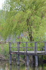 a fishing pond with pier for fishermen