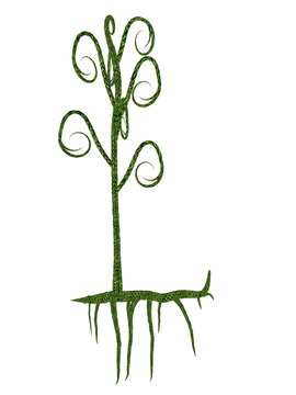 Asteroxylon mackiei prehistoric plant - 3D render