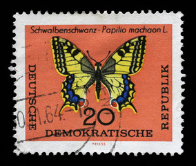 Stamp printed in DDR shows Schwalbenschwanz Papilio machaon L butterfly. The largest butterfly in Germany with a wingspan from 50 to 75 millimeters.