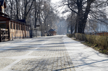 Spacer po parku w słoneczny dzień, Zwierzyniec Roztocze, © klumb