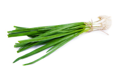 Spring onion isolated closeup