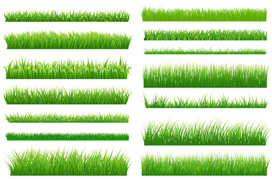 Set of spring green grass horizontal borders. Green grass collec