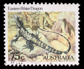 Stamp printed in AUSTRALIA shows the Eastern Water Dragon, series, circa 1981