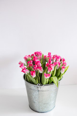 Beautiful bouquet of pink tulips