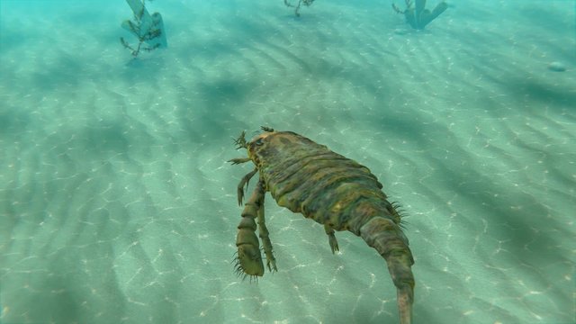 An animation swimming along with Eurypterus in the sea . Eurypterids are related to arachnids and include the largest known arthropods to have ever lived (460 to 248 million years ago).