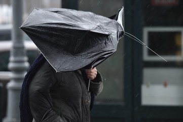 People walking on the street with their open umbrellas on a stormy day
