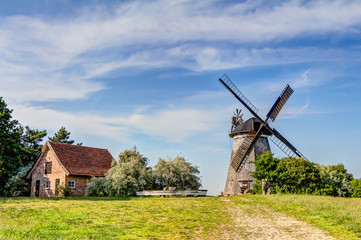 Fototapeta na wymiar Typical Dutch windmill