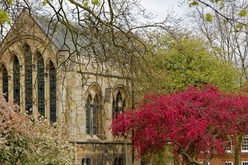 Naklejka premium York in England