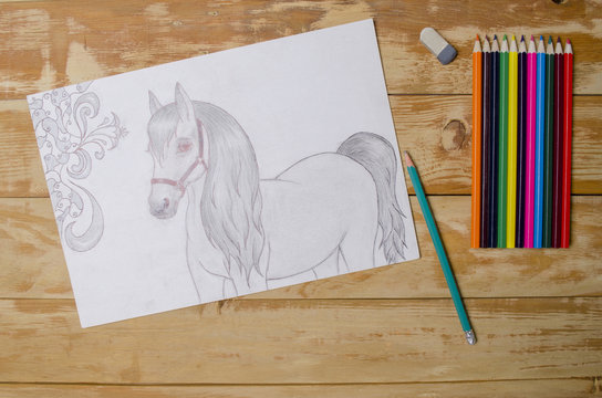 the horse drawn with a pencil