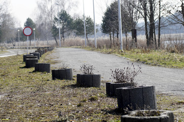 Spacer po parku w słoneczny dzień, Zwierzyniec Roztocze, © klumb