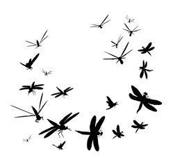 Стрекозы- летний хоровод © LaPateus