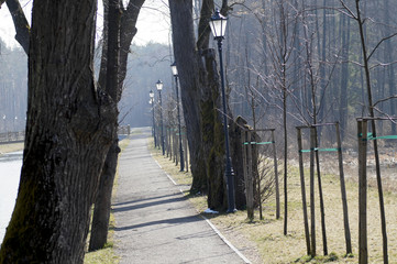 Spacer po parku w słoneczny dzień, Zwierzyniec Roztocze, © klumb