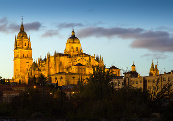 Fototapeta na wymiar Dusk view of Cathedral of Salamanca
