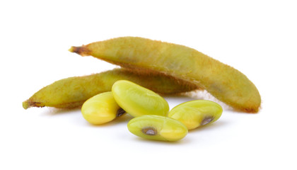 soy bean on white background