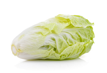 Chinese cabbage on white background
