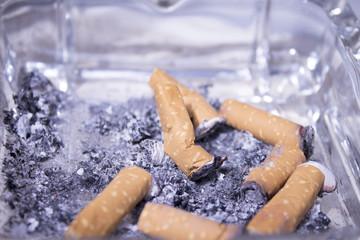 Cigarette butts