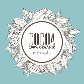 Hand painted cocoa wreath botany illustration. Decorative doodle of healthy nutrient food.