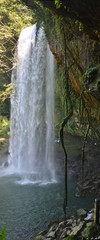 Vertical panorama of Misol-Ha waterfall, Chiapas, Mexico,