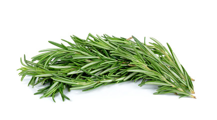 rosemary isolated on the white background