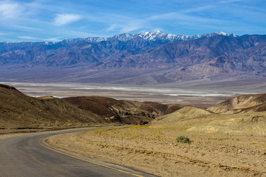Death Valley scenic drive with wildflowers and snowy peaks