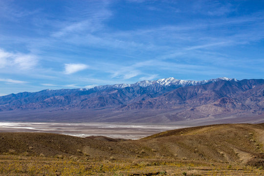 Death Valley NP with wildflowers and snowy peaks