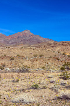Death Valley NP "Corkscrew Peak" in spring