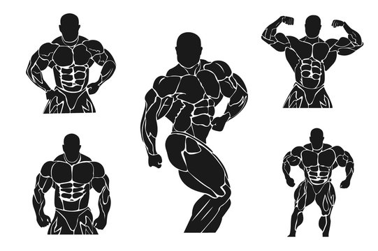 Bodybuilding and powerlifting concept, icon, banner, template, badge 