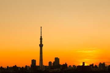 Fototapeta premium 夕暮れの東京スカイツリー