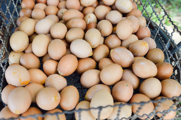 Grilled eggs at street food in Thailand.