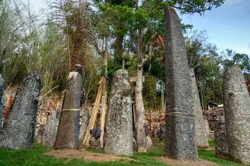 Foto op Canvas Ceremony site with megaliths. Bori Kalimbuang. Tana Toraja. Indonesia © Elena Odareeva
