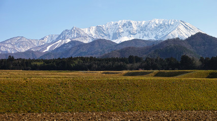 Obraz premium 春の大山 北麓
