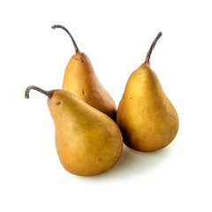 Pears with long stems on white