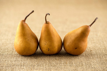 Line up of curvy shaped brown bosc pears