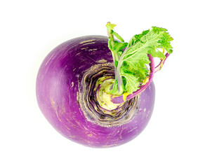 Detailed shot of top of turnip with leaves