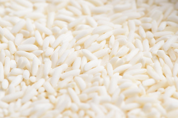 closeup sticky rice background