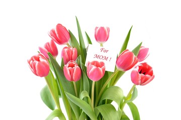 Mothers day card with tulips.