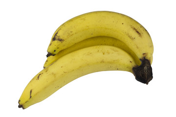 Three fresh bananas isolated on white